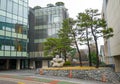 Small architectural forms. Stone abstraction and green pine trees