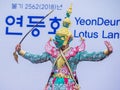 Seoul Lotus Lantern Festival