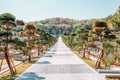 Seoul National Cemetery at spring in Korea Royalty Free Stock Photo