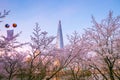 Seokchon lake park  and cherry blossom tree and Lotte world tower in spring. seoul, south korea Royalty Free Stock Photo