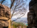 Seoul South Korea, cityscape background between rocks with a tree blue sky. Royalty Free Stock Photo