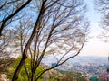 Seoul South Korea, cityscape background with a tree blue sky. Royalty Free Stock Photo