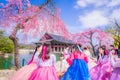 SEOUL,SOUTH KOREA-MARCH 11,2013:Young tourists wear hanboks to watch the cherry blossoms in Gyeongbokgung palace,Seoul,South