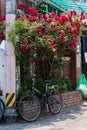 Seoul,South Korea-May 2020: Bicycle parking on the street under the rose flowers