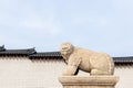 Seoul, South Korea- Oct 25, 2019 : Haechi statue infront of gyeongbokgung palace. Haechi is one of symbol of Seoul