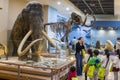 the teacher is introducing woolly mammoth to a group of kids