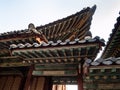 Decorated roofs in Changgyeong Palace in Seoul