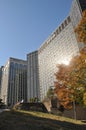 SEOUL, SOUTH KOREA - OCTOBER 25, 2022: Hilton hotel grand big building with morning sun reflection with orange maple trees foliage