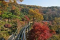 SEOUL, SOUTH KOREA - OCTOBER 27, 2022: Hwadam Forest Botanic Garden small shuttle train car metal railway to Red Orange maple