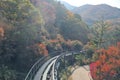 SEOUL, SOUTH KOREA - OCTOBER 27, 2022: Hwadam Forest Botanic Garden small shuttle train car metal railway to Red Orange maple