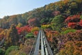 SEOUL, SOUTH KOREA - OCTOBER 27, 2022: Hwadam Forest Botanic Garden small shuttle train car metal railway to Red Orange maple