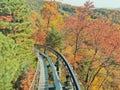 SEOUL, SOUTH KOREA - OCTOBER 27, 2022: Hwadam Forest Botanic Garden small shuttle train car metal railway to Red Orange maple