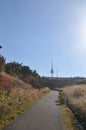 SEOUL, SOUTH KOREA - OCTOBER 25, 2022: N Seoul tower in Namson Park Mountain in the morning with various trees foliage in Autumn Royalty Free Stock Photo