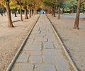 SEOUL, SOUTH KOREA - OCTOBER 27, 2022 Small stone walkway and Fall maple leaves foliage in orange and green colour in deep forest Royalty Free Stock Photo