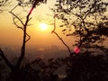 Sunset among the trees at Namsan park in Seoul Royalty Free Stock Photo