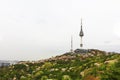 Seoul tower Royalty Free Stock Photo