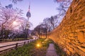 Seoul tower in seoul city at night view in spring with cherry bl Royalty Free Stock Photo