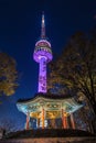 Seoul tower Royalty Free Stock Photo