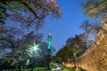 Eoul tower at night view in spring with cherry blossom tree Royalty Free Stock Photo