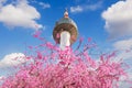 Seoul tower and pink cherry Blossom, Sakura season in spring,Seoul in Korea.