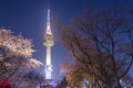 Seoul tower in seoul city at night view in spring with cherry bl Royalty Free Stock Photo