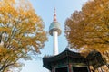 Seoul Tower with yellow and red autumn maple leaves at Namsan mo Royalty Free Stock Photo