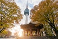 Seoul Tower with yellow and red autumn maple leaves at Namsan mo