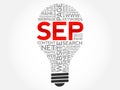 SEP (search engine positioning) bulb word cloud Royalty Free Stock Photo