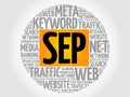 SEP (search engine positioning