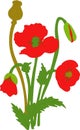 Separate elements flowers red poppy: flowers, leaves, bolls, buds