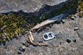 separate tab of a beer can on ground outdoors Royalty Free Stock Photo