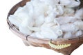 Separate White silkworm pupa
