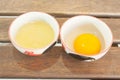 Separated egg white and yolk in blow Royalty Free Stock Photo