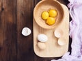 Separated egg white and yolk Royalty Free Stock Photo