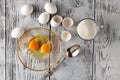 Separated egg white and yolks into two bowls and broken egg shells are at background Royalty Free Stock Photo