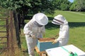 Separating Frames in a Beehive with a Hive Tool