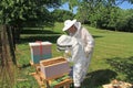 Separating Frames in a Beehive with a Hive Tool