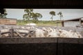 Separating livestock on the farm