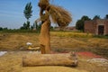 Separating Rice grains