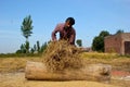 Separating Rice grains