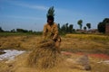 Separating Rice grains