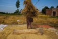 Separating Rice grains