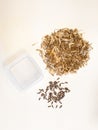 Separating sunflower seeds from their husks and storing them to plant in the spring