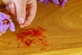 Separation with hand of stamens from a flower saffron