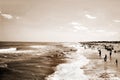 Sepia Beach