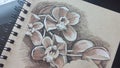 Sepia charcoal drawing of orchids Royalty Free Stock Photo