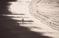 Sepia filter like image silhouette of a person walking a dog on wet sand beach at Castlepoint Lighthouse New Zealand