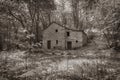 Sepia forest hues with filtered sunlight and old stone cottage Royalty Free Stock Photo