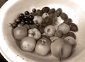 Sepia fruits in a bowl. Apples, plums, peaches, cherry tomatoes