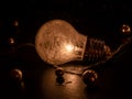 Sepia light bulb with white feathers in the bulb Royalty Free Stock Photo